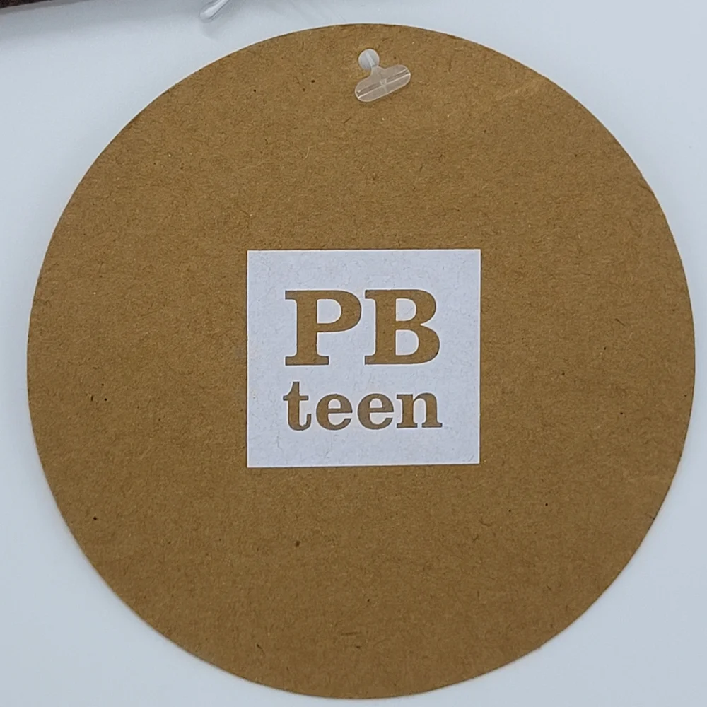 Pottery Barn PB Teen Aries Embroidered Pillow Cover 12x12 Astrology Ram NEW